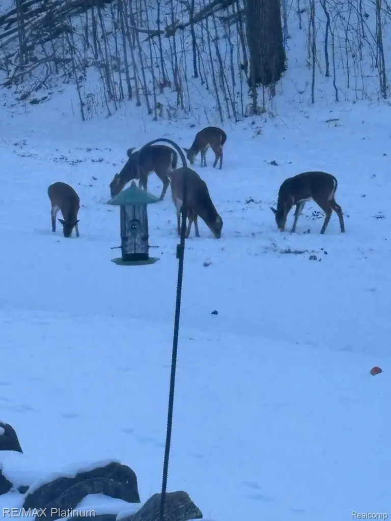 4125 Hubbard Lake Trail Caledonia Township MI 49747