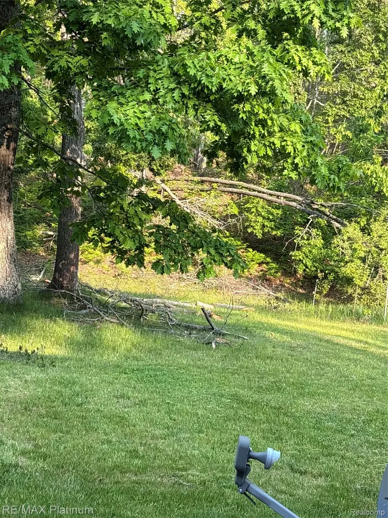 4125 Hubbard Lake Trail Caledonia Township MI 49747