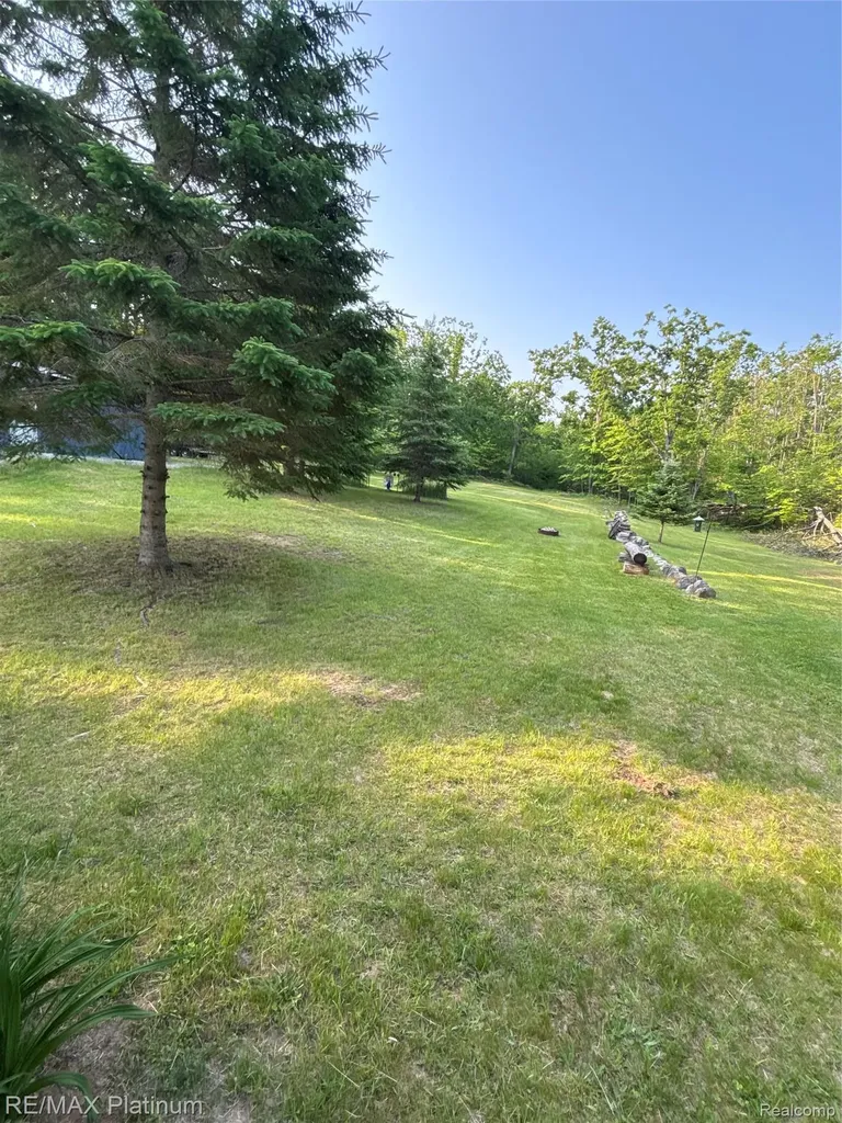 4125 Hubbard Lake Trail Caledonia Township MI 49747