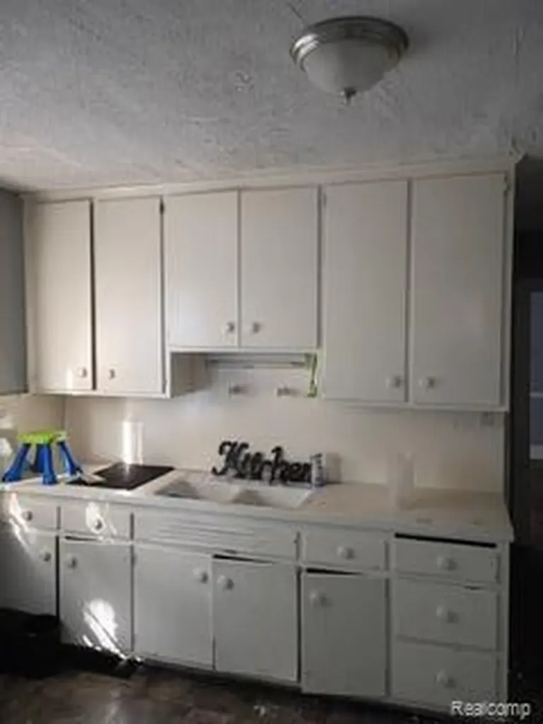 229 Chalmers Street Detroit City MI 48215