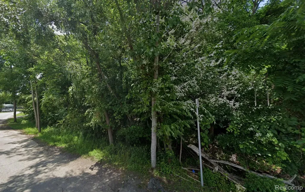 1150 Kirkwood Street Waterford Charter Township MI 48328