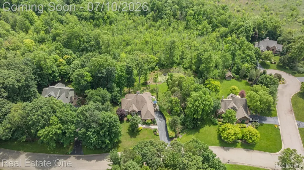 3633 Orion Oaks Drive Orion Charter Township MI 48360