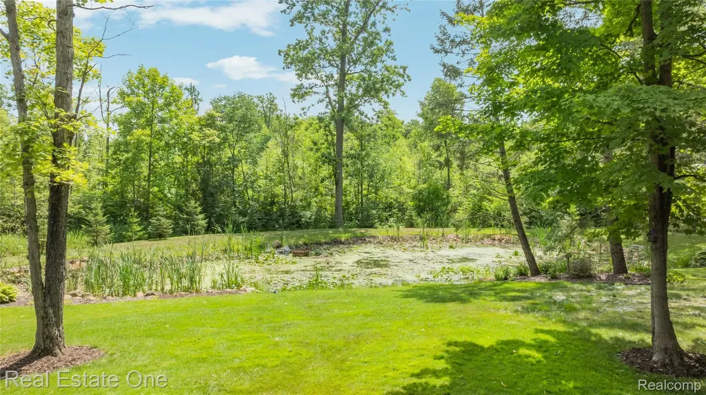 3633 Orion Oaks Drive Orion Charter Township MI 48360