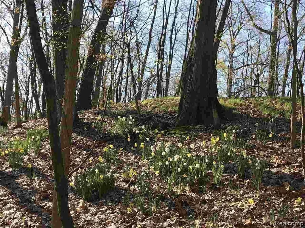 0000 Silverbell Oakland Charter Township MI 48306