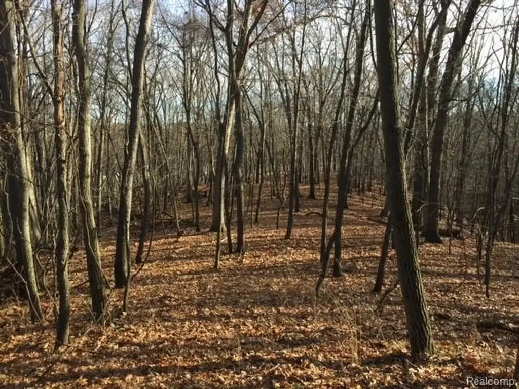 0000 Silverbell Oakland Charter Township MI 48306