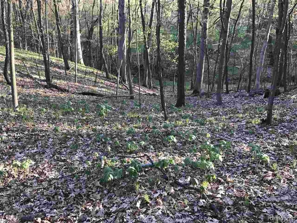 0000 Silverbell Oakland Charter Township MI 48306