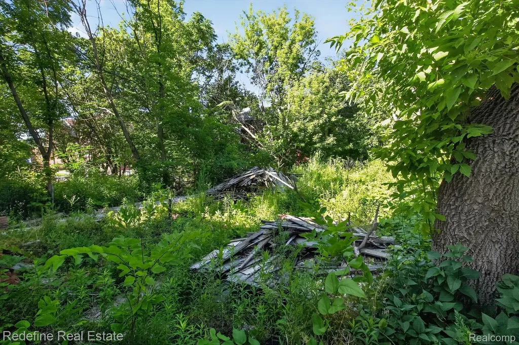 6029 Cooper Street Detroit City MI 48213