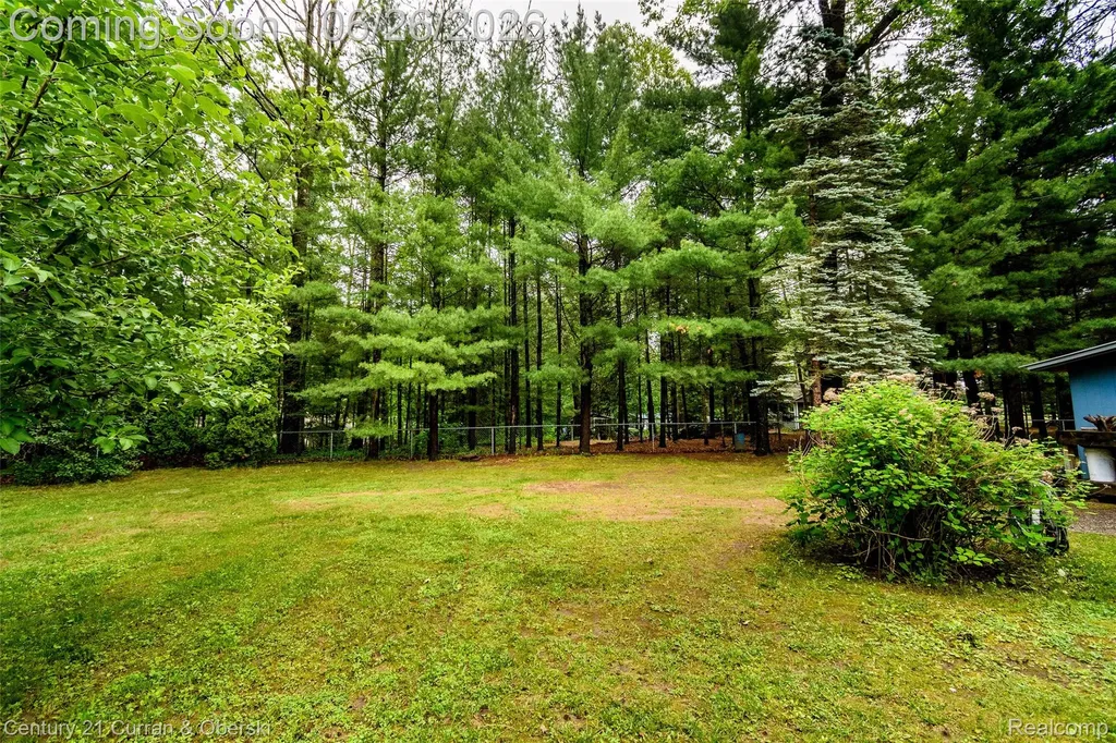3270 Woods Road Hayes Township MI 48625