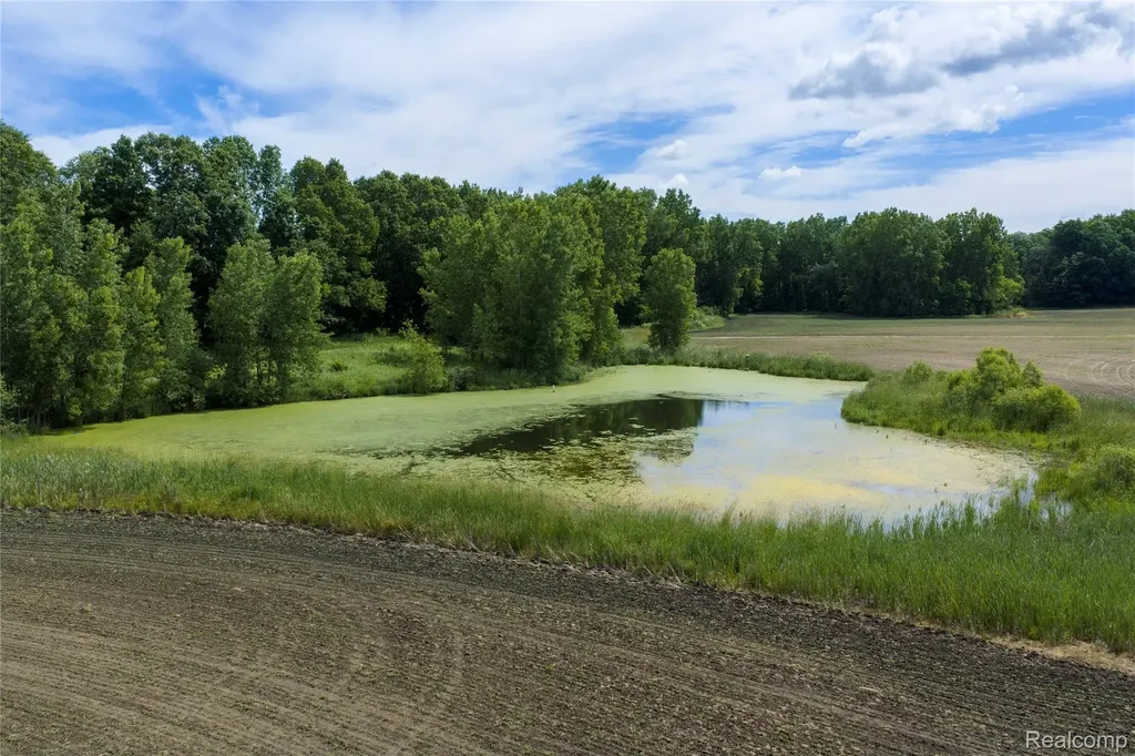 10069 Silver Lake Road Argentine Township MI 48451