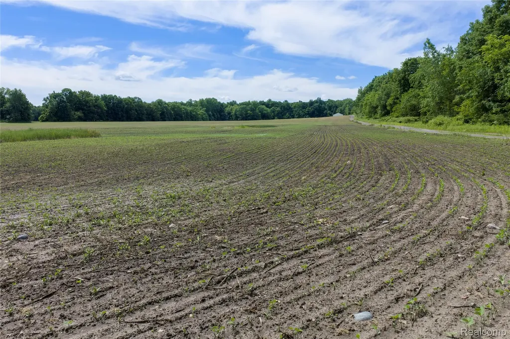 10069 Silver Lake Road Argentine Township MI 48451
