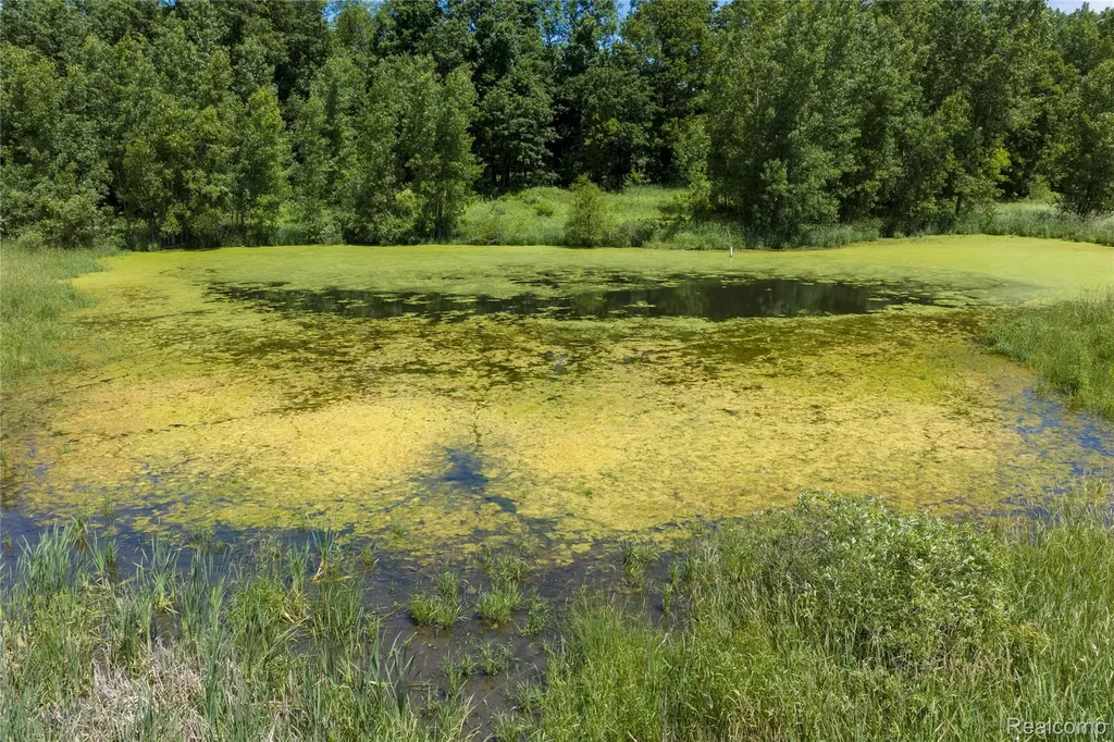 10069 Silver Lake Road Argentine Township MI 48451