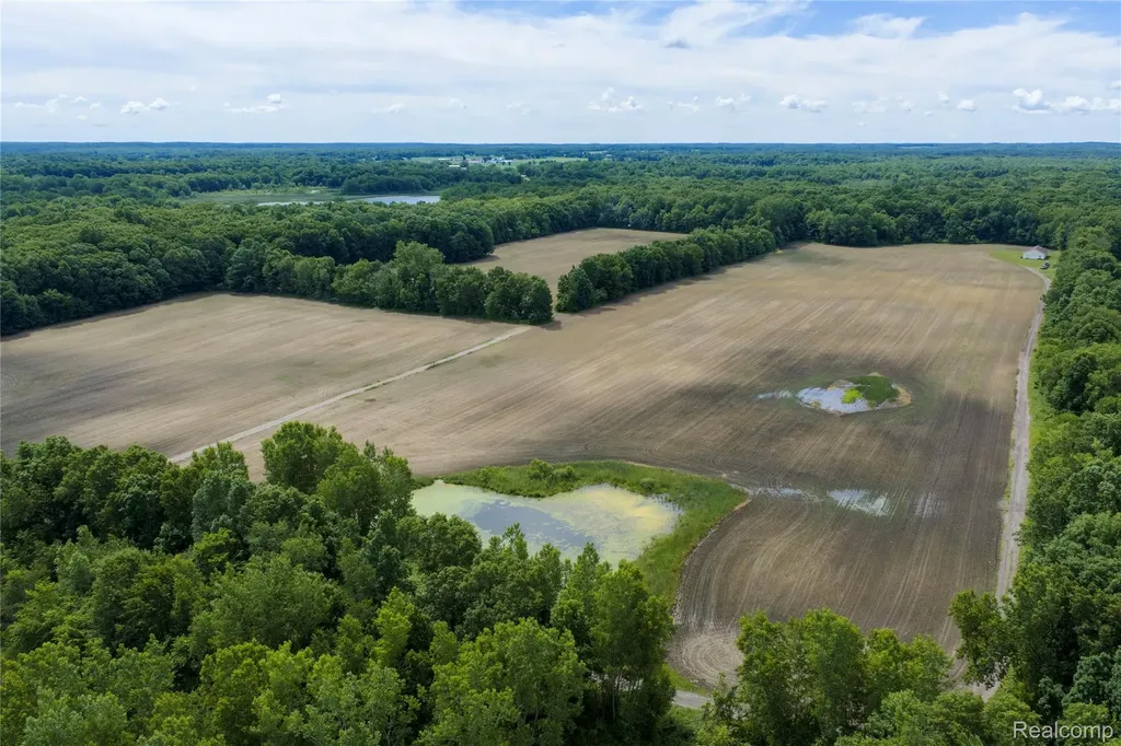 10069 Silver Lake Road Argentine Township MI 48451