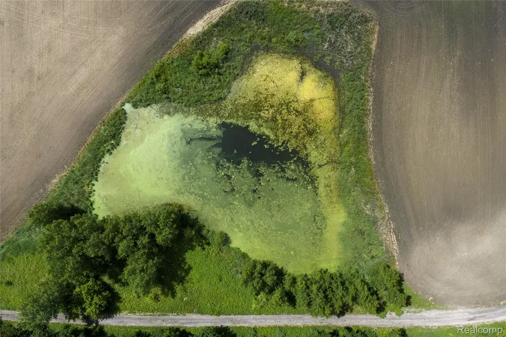 10069 Silver Lake Road Argentine Township MI 48451