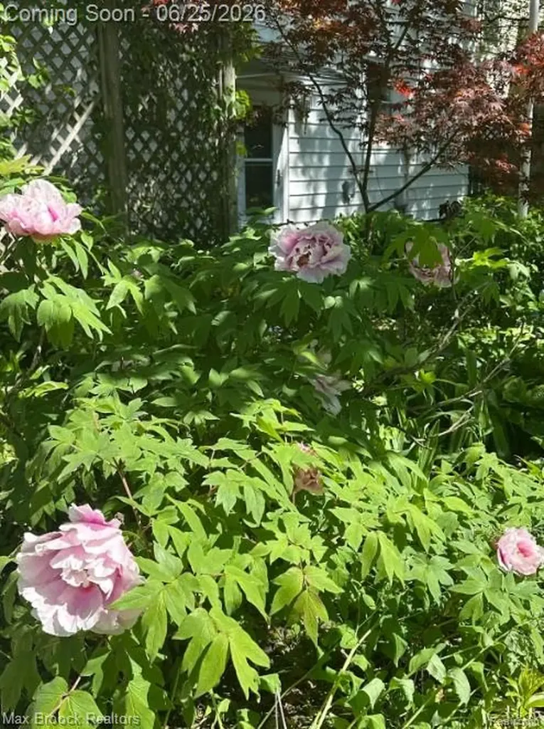 1432 E Park Place Ann Arbor City MI 48104