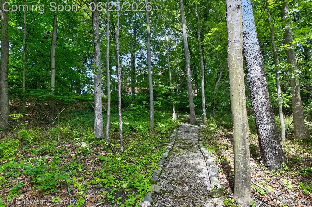 11073 Sandy Creek Drive Green Oak Township MI 48178