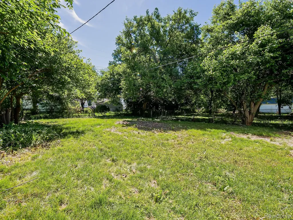 17424 Salem Street Detroit City MI 48219