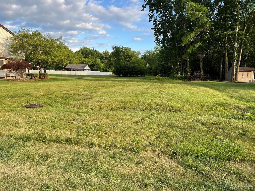 16689 Carter Woodhaven City MI 48183