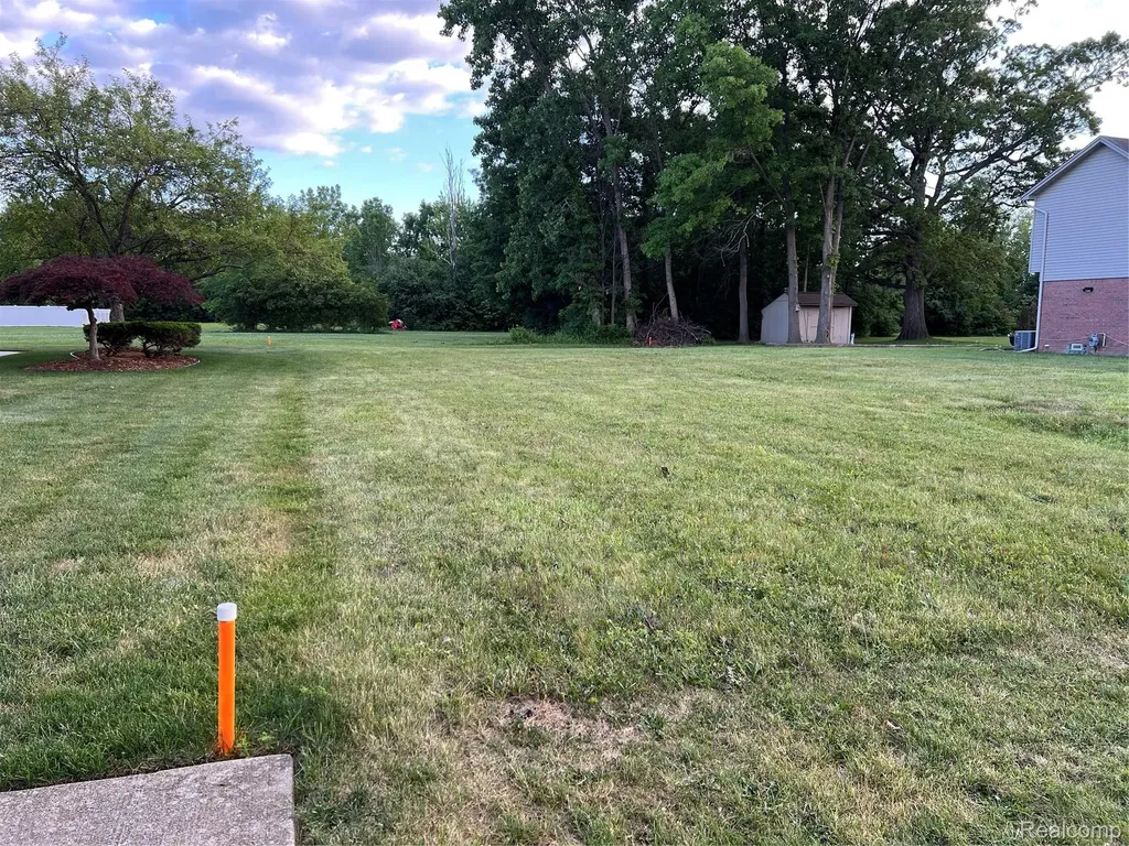 16689 Carter Woodhaven City MI 48183