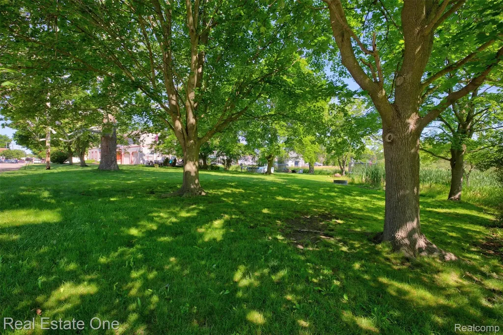 4 N Church Street Brandon Charter Township MI 48462