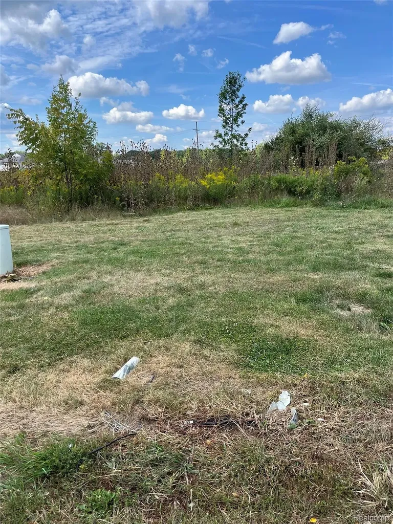 Vacant Land Grand River Avenue Handy Township MI 48836