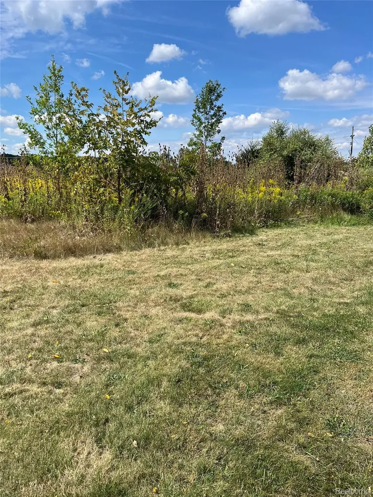 Vacant Land Grand River Avenue Handy Township MI 48836