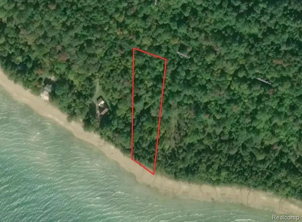4511 Shore Road Moran Township MI 49760