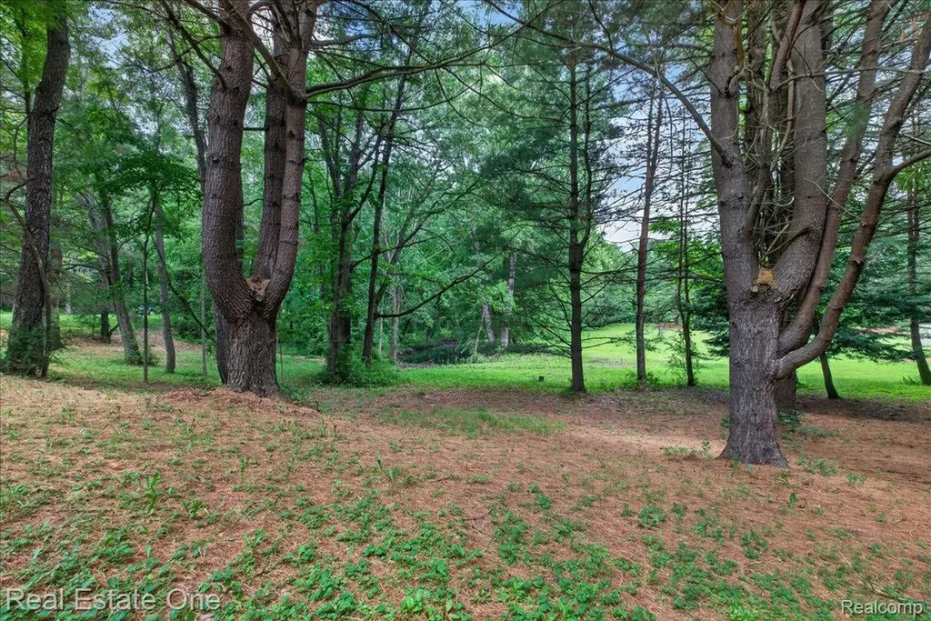 425 Courtney Road Addison Township MI 48367