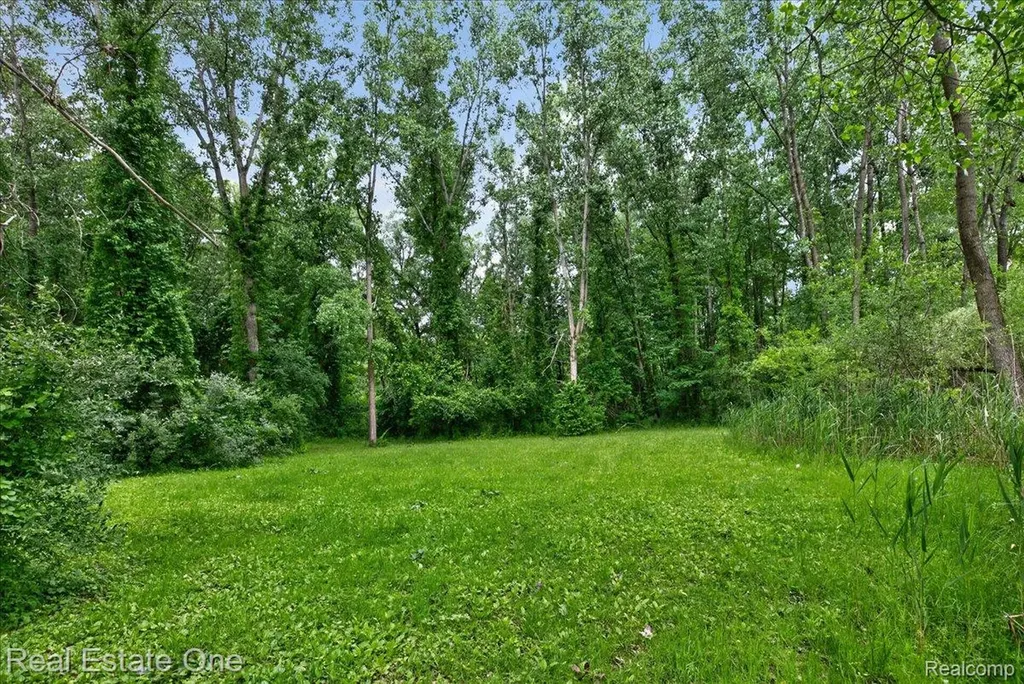 425 Courtney Road Addison Township MI 48367