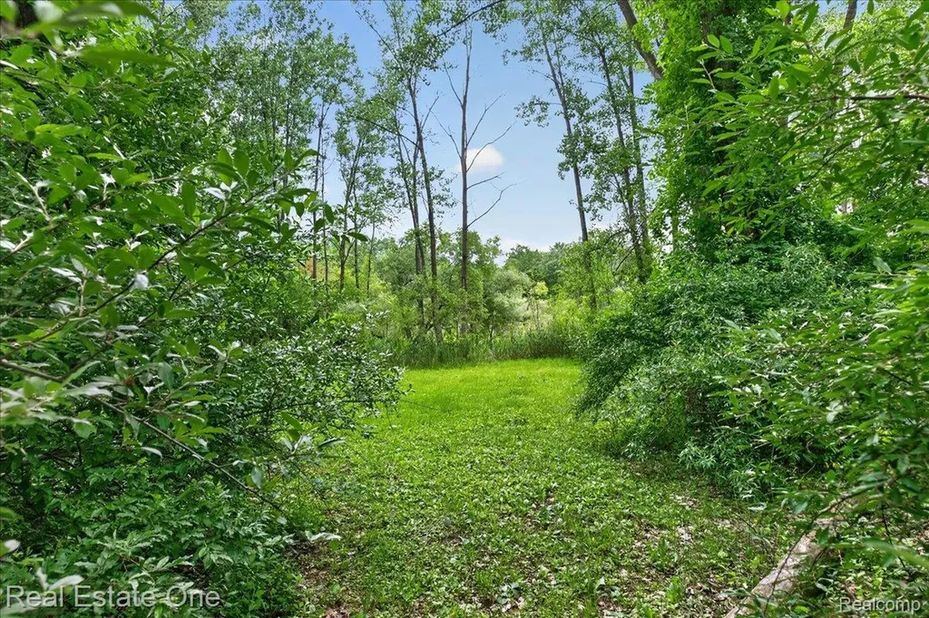 425 Courtney Road Addison Township MI 48367
