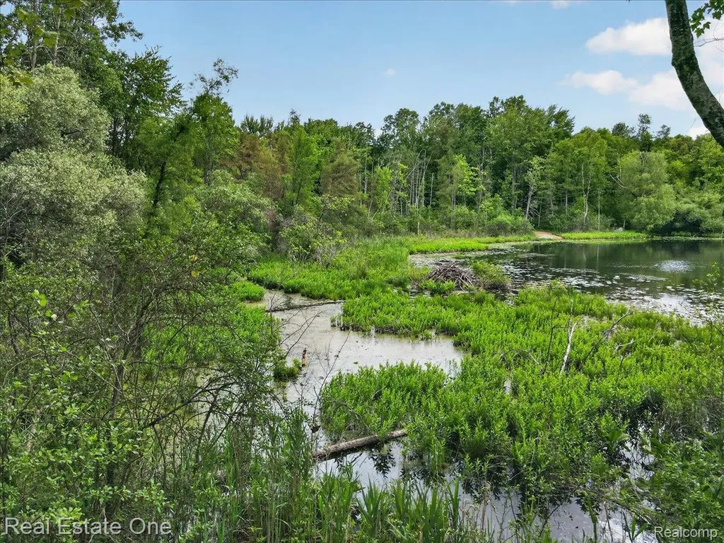 425 Courtney Road Addison Township MI 48367