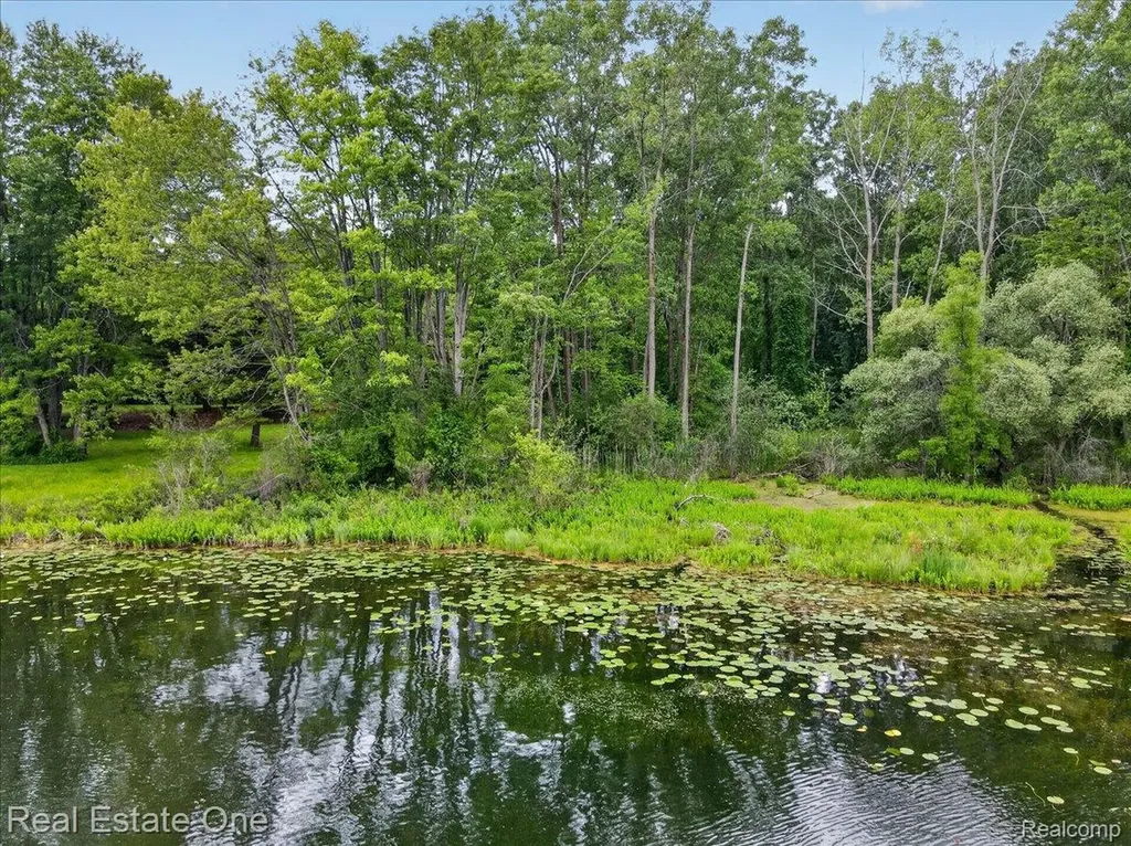 425 Courtney Road Addison Township MI 48367