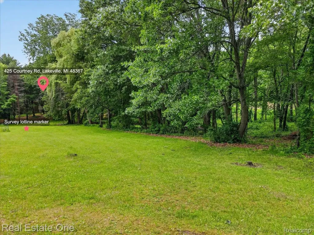 425 Courtney Road Addison Township MI 48367