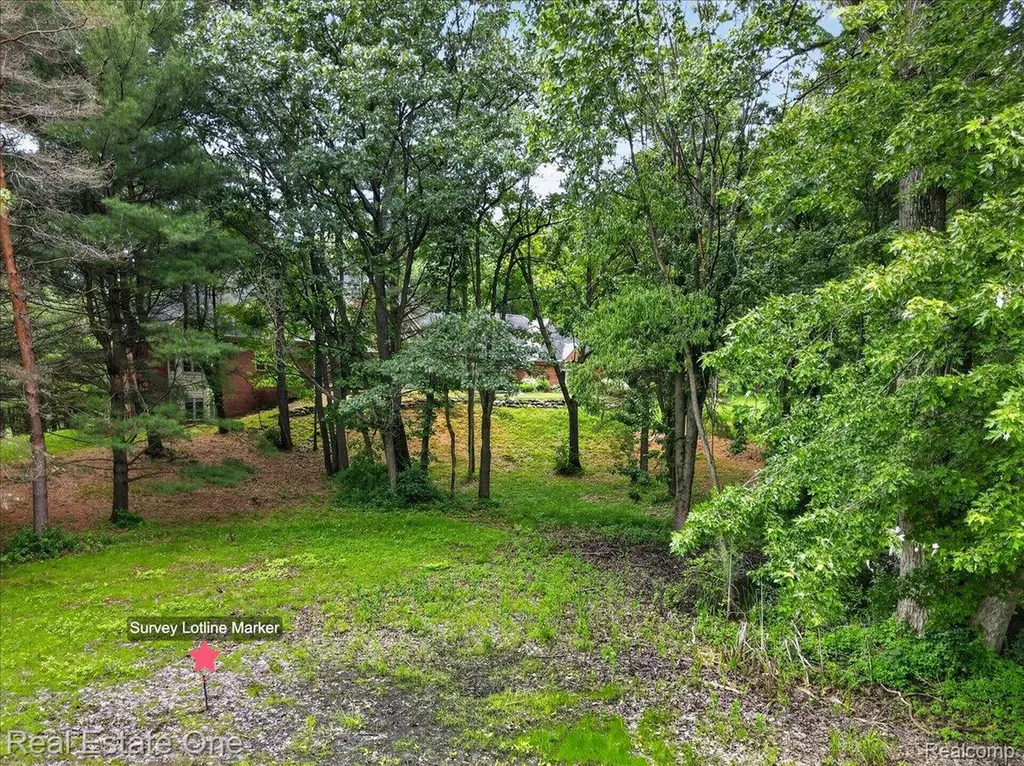 425 Courtney Road Addison Township MI 48367