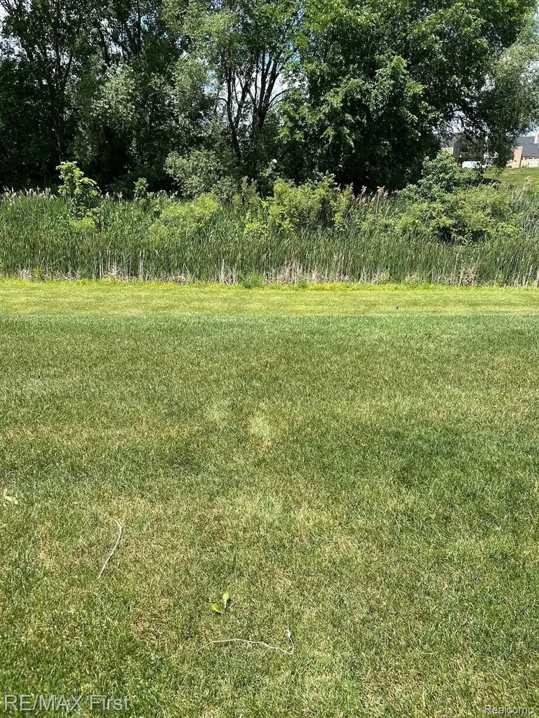 43719 Hartford Drive Clinton Charter Township MI 48038
