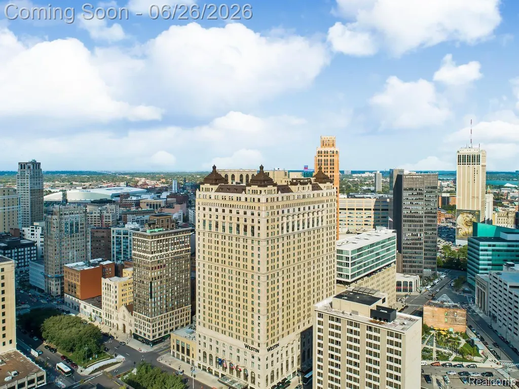 1135 Shelby Street Detroit City MI 48226
