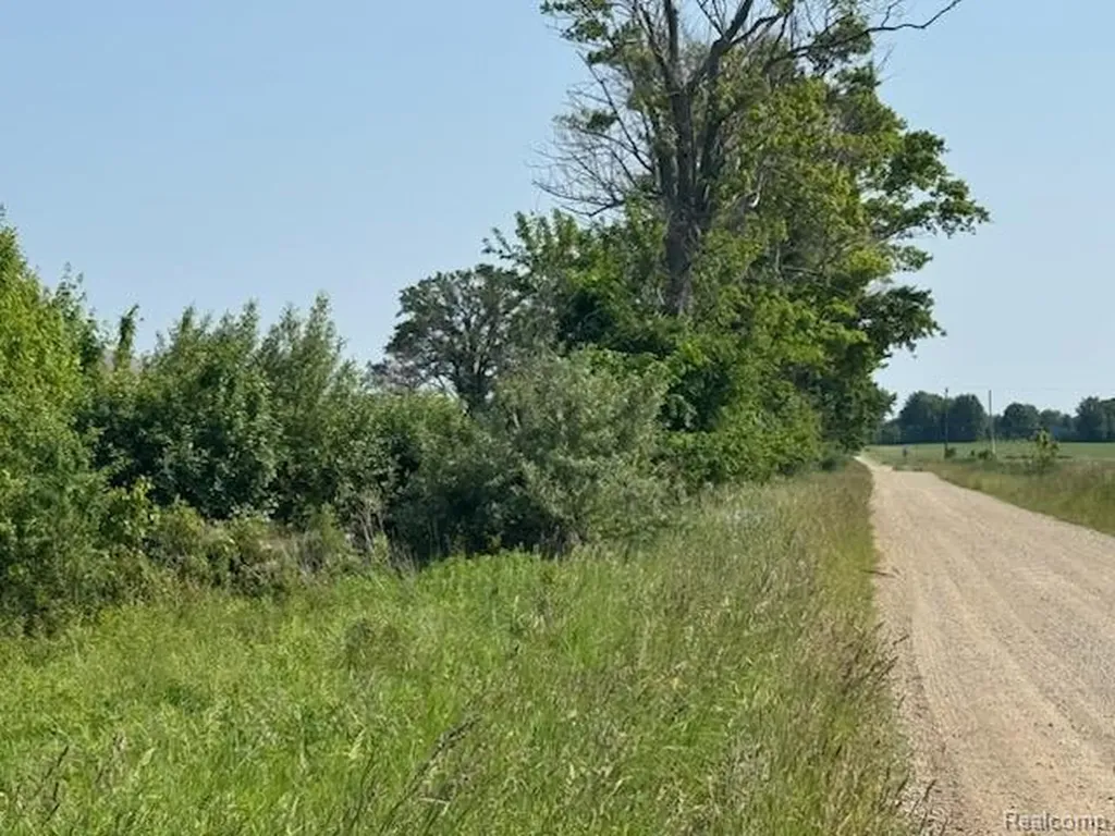 0001 Duquette Road Speaker Township MI 48466