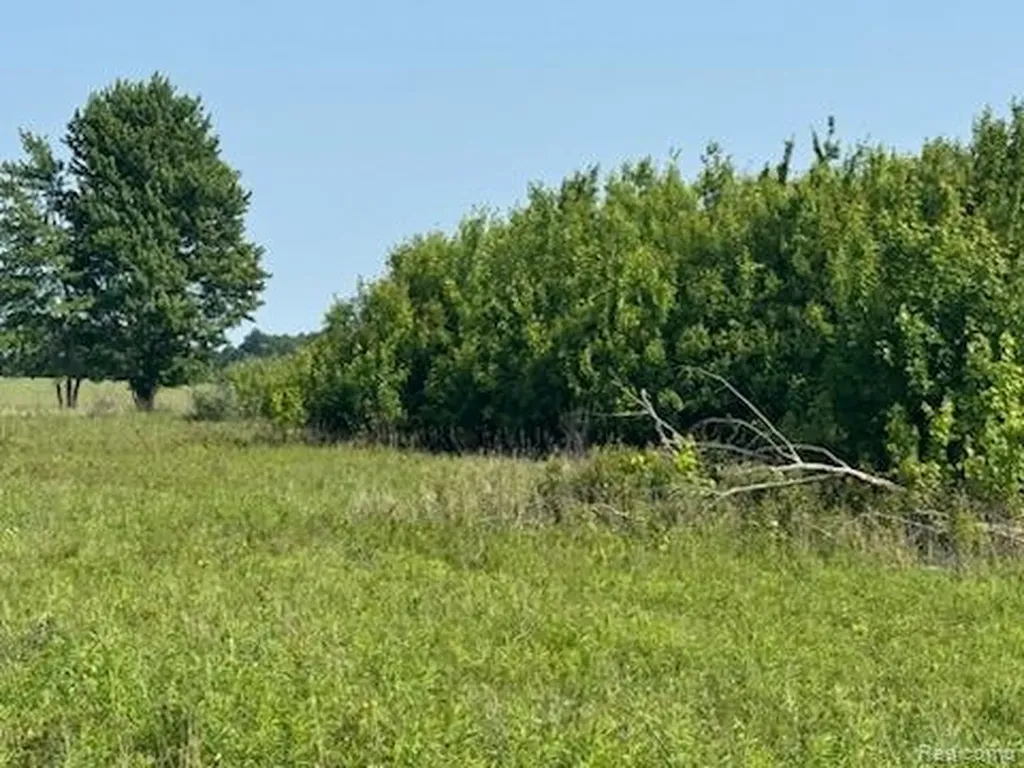 0001 Duquette Road Speaker Township MI 48466