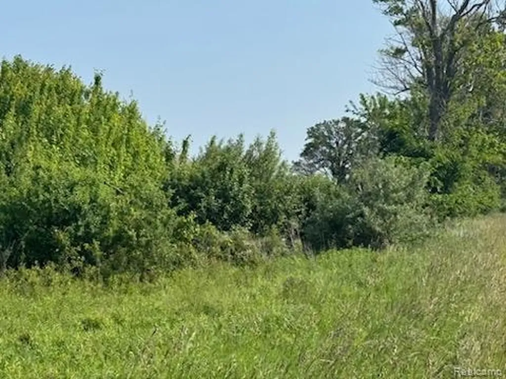 0001 Duquette Road Speaker Township MI 48466
