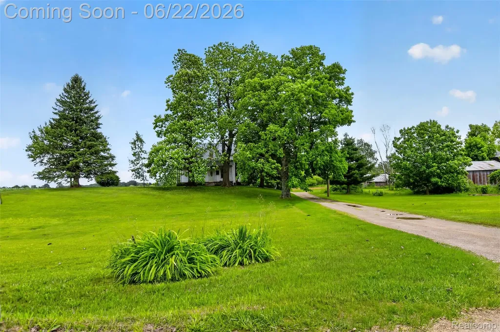 6007 Leix Road Fremont Township MI 48744