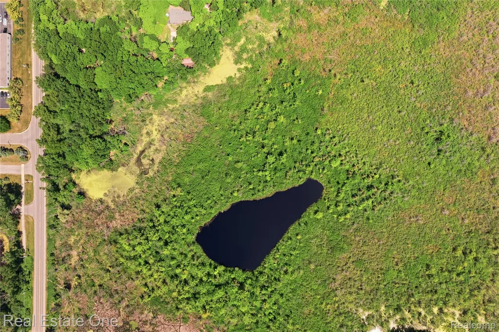 000 Dorr Road Genoa Township MI 48114