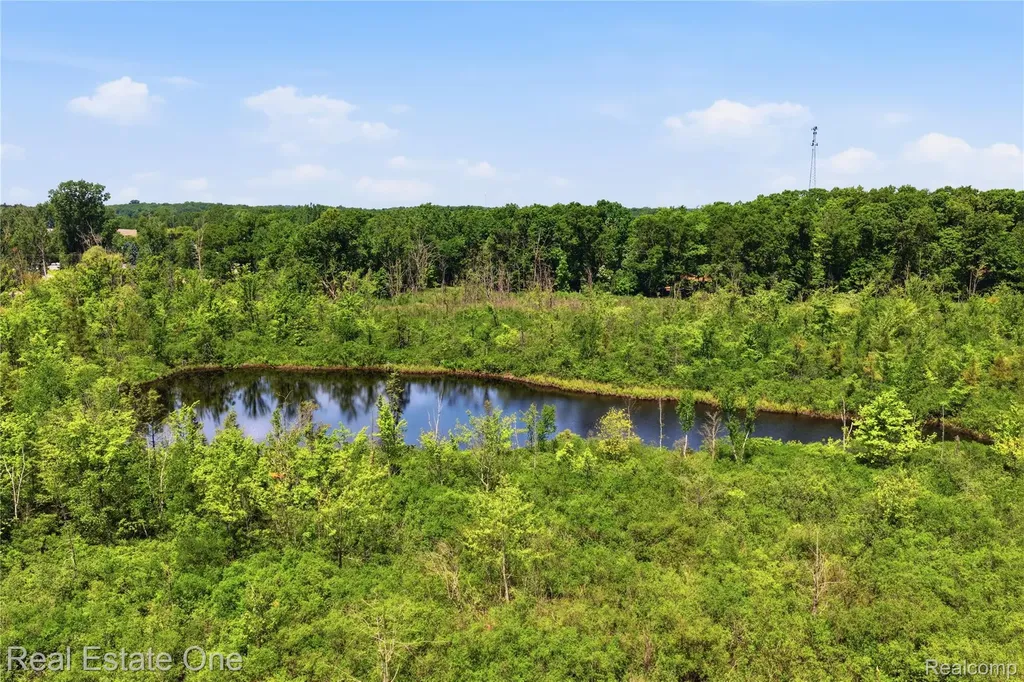 000 Dorr Road Genoa Township MI 48114