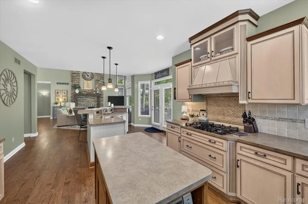 161 Abby Brook Lane Marion Township MI 48843
