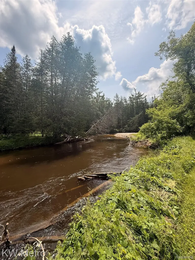 5749 Schultz Road Tuscarora Township MI 49749