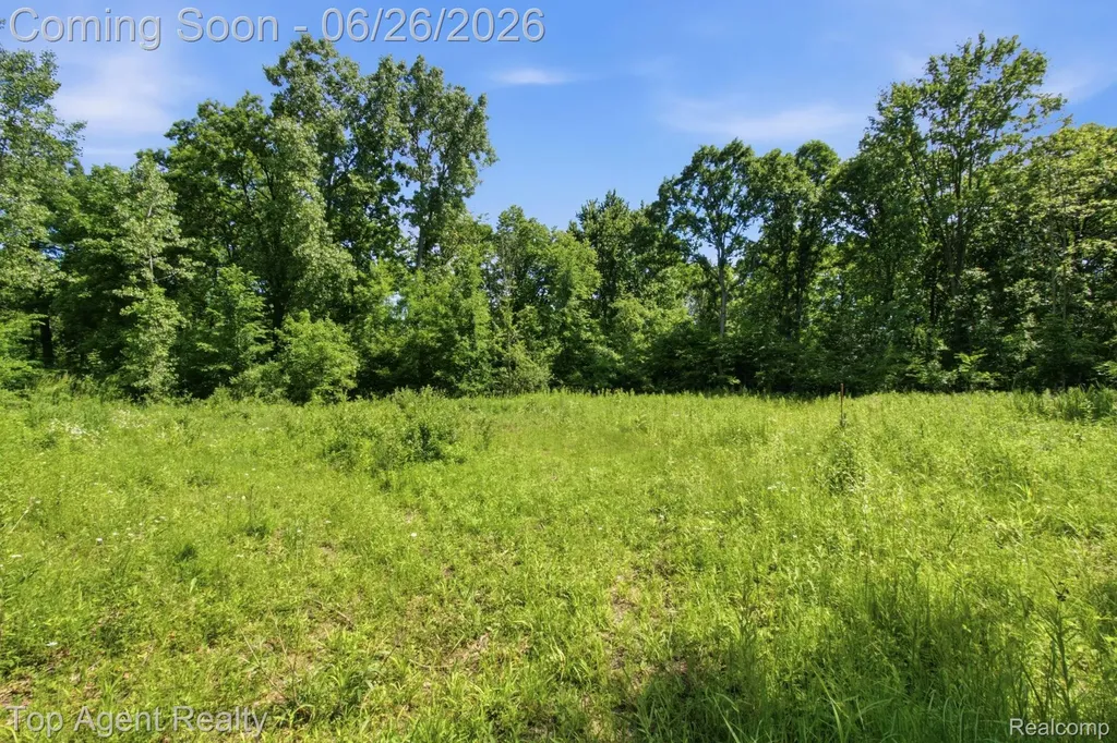 657 Donna Mae Addison Township MI 48367