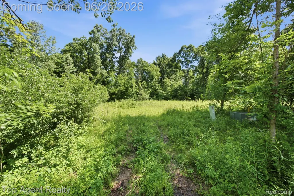 657 Donna Mae Addison Township MI 48367