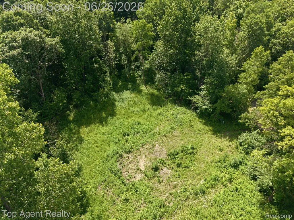 657 Donna Mae Addison Township MI 48367