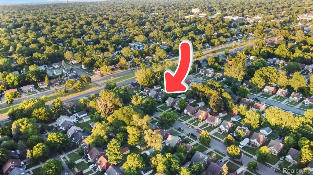 11042 Peerless Street Detroit City MI 48224