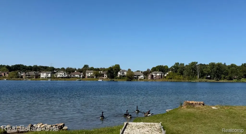 2910 Loon Drive Wixom City MI 48393
