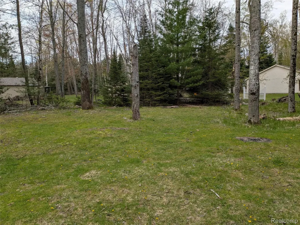 4365 N Norway Road Alcona Township MI 48742