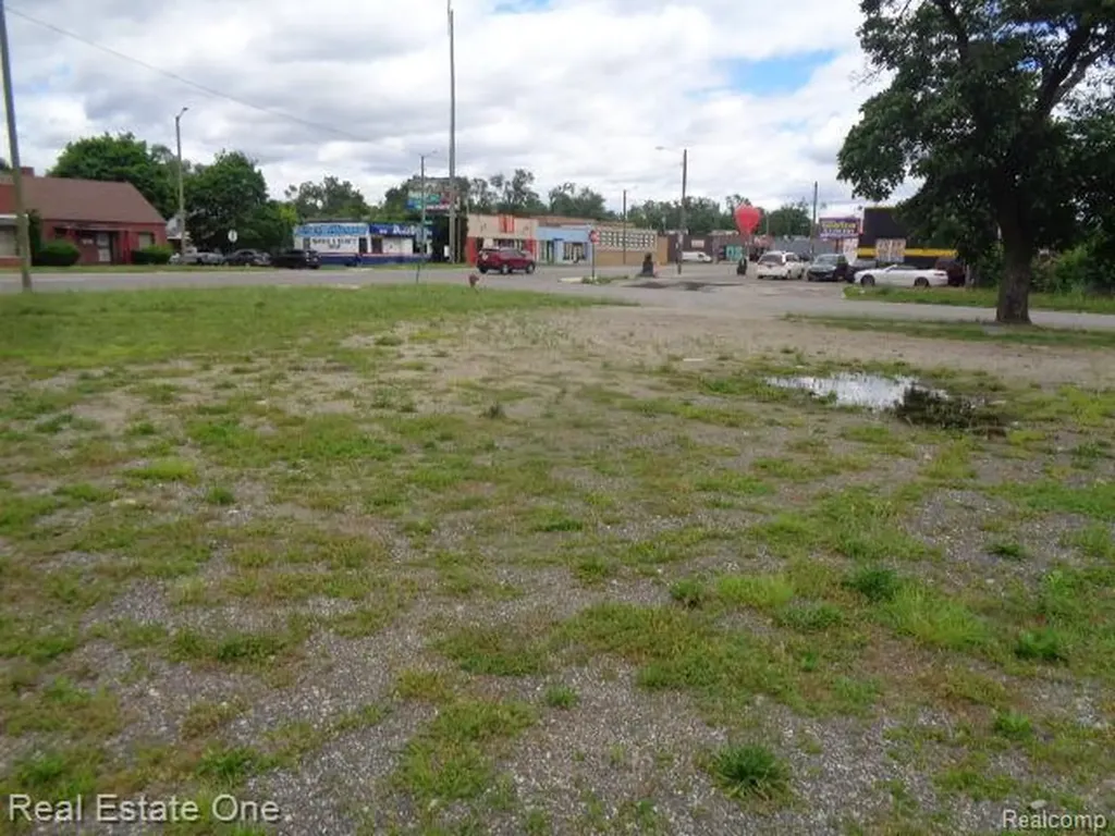 12919 W 7 Mile Road Detroit City MI 48235